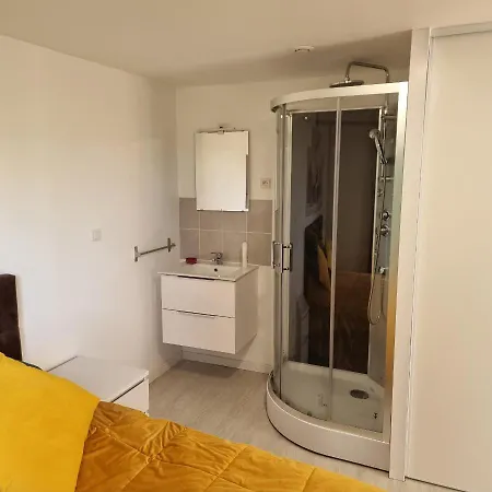 דירה En Fond De Jardin Avec Piscine Et Jacuzzi Cormontreuil