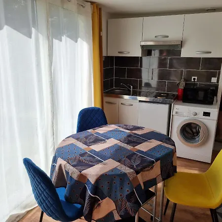 דירה En Fond De Jardin Avec Piscine Et Jacuzzi Cormontreuil